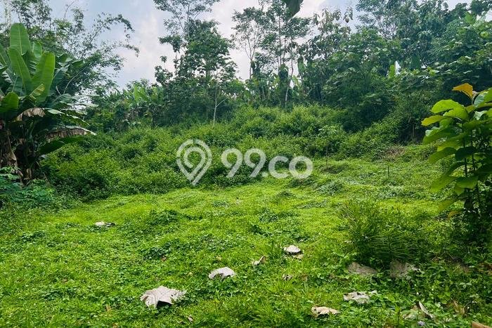 Tanah Strategis Dijual di Mojogedang Karanganyar 1723m2 Tanah Strategis Dijual di Mojogedang Karanganyar 1723m2