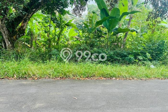 Tanah Komersial Dijual di Mojogedang Karanganyar 1000m2 Tanah Komersial Dijual di Mojogedang Karanganyar 1000m2