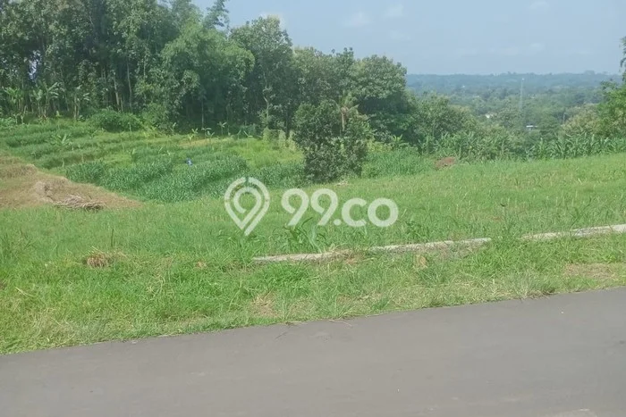 Untuk Dijual Tanah di Kerjo Karanganyar Luas 1370m2 SHM Untuk Dijual Tanah di Kerjo Karanganyar Luas 1370m2 SHM