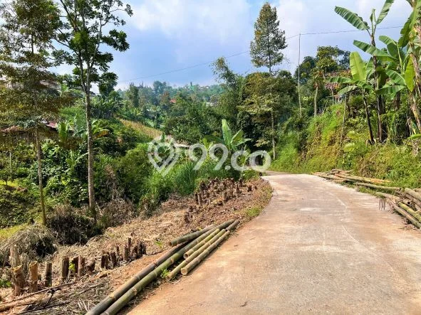 Tanah Area Berkembang di Ngargoyoso, Luas 150m2m², Ideal untuk Bisnis Tanah Area Berkembang di Ngargoyoso, Luas 150m2m², Ideal untuk Bisnis