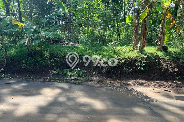 Tanah Kavling untuk Dijual di Kerjo Karanganyar 400m2 Tanah Kavling untuk Dijual di Kerjo Karanganyar 400m2