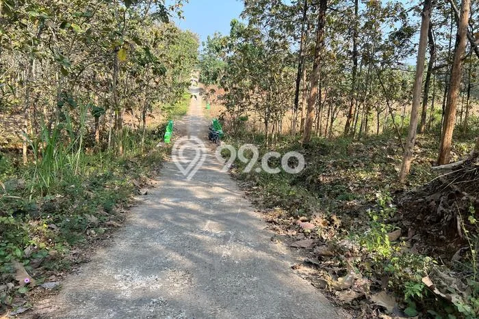 AREA PROSPEKTIF! Tanah Kawasan Kerjo, Luas 2311m2m², Akses Transportasi, Kawasan Berkembang AREA PROSPEKTIF! Tanah Kawasan Kerjo, Luas 2311m2m², Akses Transportasi, Kawasan Berkembang