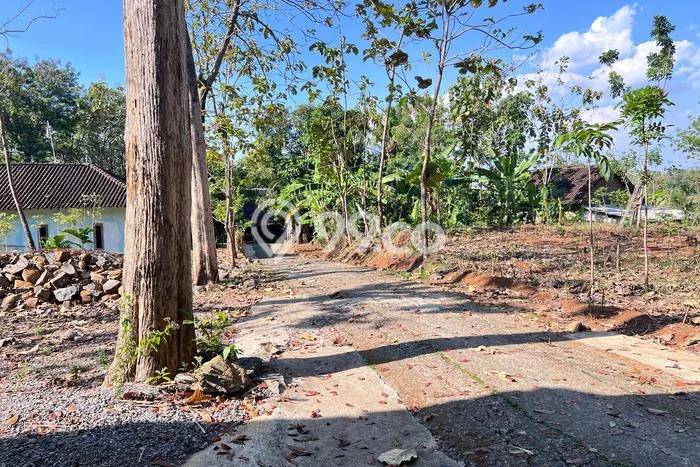 Tanah Komersial di Kerjo, Luas 1544m2m², Akses Mudah Tanah Komersial di Kerjo, Luas 1544m2m², Akses Mudah