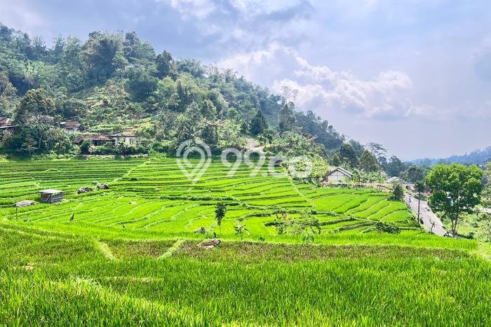 AREA PROSPEKTIF! Tanah Kawasan Ngargoyoso, Luas 3000m², Akses Transportasi, Kawasan Berkembang AREA PROSPEKTIF! Tanah Kawasan Ngargoyoso, Luas 3000m², Akses Transportasi, Kawasan Berkembang