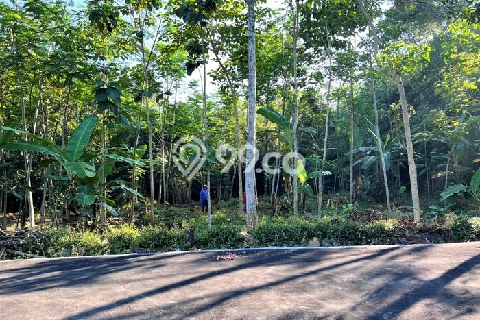 Tanah Kawasan Mojogedang, Luas 1630m2m², Dekat Mojogedang, Karanganyar, Karanganyar Tanah Kawasan Mojogedang, Luas 1630m2m², Dekat Mojogedang, Karanganyar, Karanganyar