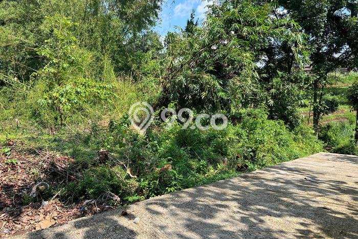 Lahan Dijual Lokasi Mojogedang, Karanganyar dengan Luas Tanah 1646m2 dan Status SHM Lahan Dijual Lokasi Mojogedang, Karanganyar dengan Luas Tanah 1646m2 dan Status SHM