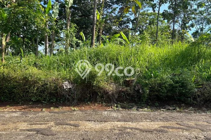 Tanah Dijual Lokasi Mojogedang, Karanganyar dengan Luas Tanah 1000m2 dan Status SHM Tanah Dijual Lokasi Mojogedang, Karanganyar dengan Luas Tanah 1000m2 dan Status SHM
