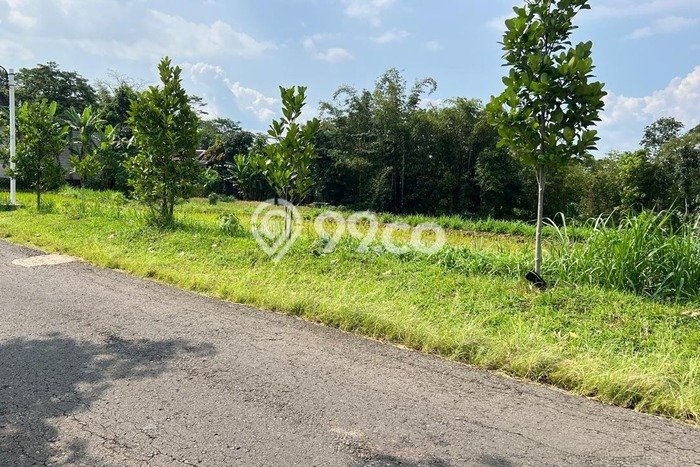 Tanah untuk Dijual Lokasi Mojogedang, Karanganyar Luas 1500m2 SHM Tanah untuk Dijual Lokasi Mojogedang, Karanganyar Luas 1500m2 SHM