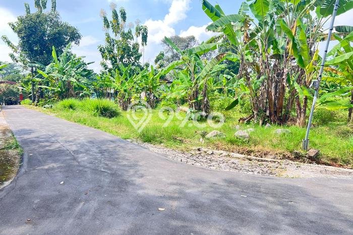 Kavling Tanah di Kerjo Dijual Luas 1300m2 Legalitas SHM Kavling Tanah di Kerjo Dijual Luas 1300m2 Legalitas SHM