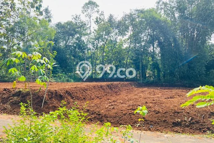 Tanah Kavling untuk Dijual di Mojogedang Karanganyar 1218m2 Tanah Kavling untuk Dijual di Mojogedang Karanganyar 1218m2