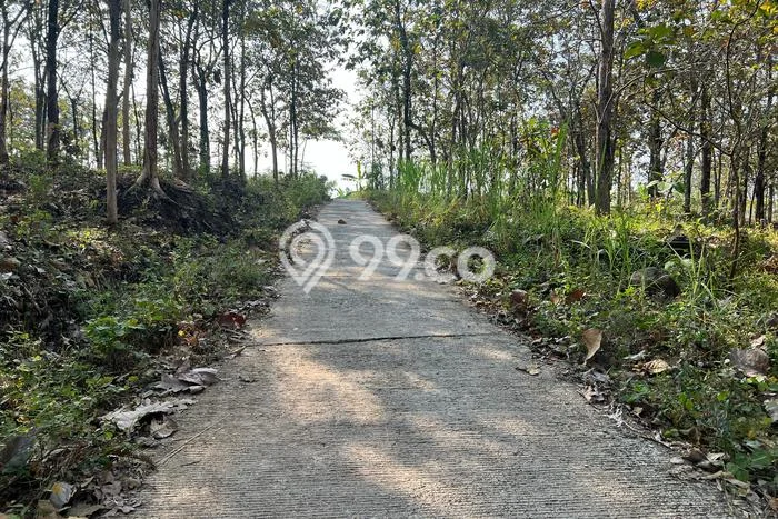 AREA PROSPEKTIF! Tanah Kawasan Kerjo, Luas 2311m2m², Akses Transportasi, Kawasan Berkembang AREA PROSPEKTIF! Tanah Kawasan Kerjo, Luas 2311m2m², Akses Transportasi, Kawasan Berkembang