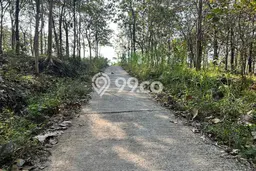 AREA PROSPEKTIF! Tanah Kawasan Kerjo, Luas 2311m2m², Akses Transportasi, Kawasan Berkembang AREA PROSPEKTIF! Tanah Kawasan Kerjo, Luas 2311m2m², Akses Transportasi, Kawasan Berkembang