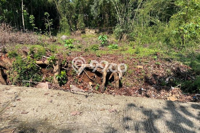 Lahan Dijual Lokasi Mojogedang, Karanganyar dengan Luas Tanah 1646m2 dan Status SHM Lahan Dijual Lokasi Mojogedang, Karanganyar dengan Luas Tanah 1646m2 dan Status SHM