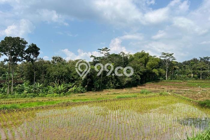 Tanah untuk Dijual Lokasi Mojogedang, Karanganyar Luas 1500m2 SHM Tanah untuk Dijual Lokasi Mojogedang, Karanganyar Luas 1500m2 SHM