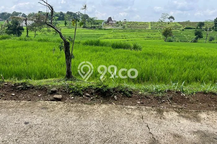 Tanah Dijual Lokasi Karangpandan, Karanganyar dengan Luas Tanah 1670m2 dan Status SHM Tanah Dijual Lokasi Karangpandan, Karanganyar dengan Luas Tanah 1670m2 dan Status SHM