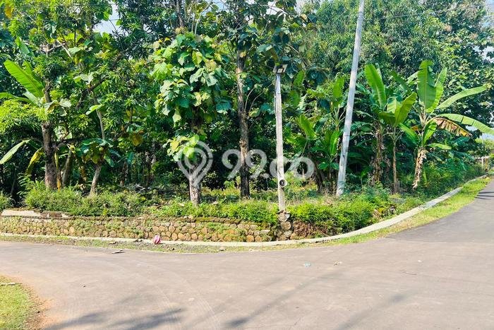 Kavling Tanah di Mojogedang Dijual Luas 1700m2 Legalitas SHM Kavling Tanah di Mojogedang Dijual Luas 1700m2 Legalitas SHM