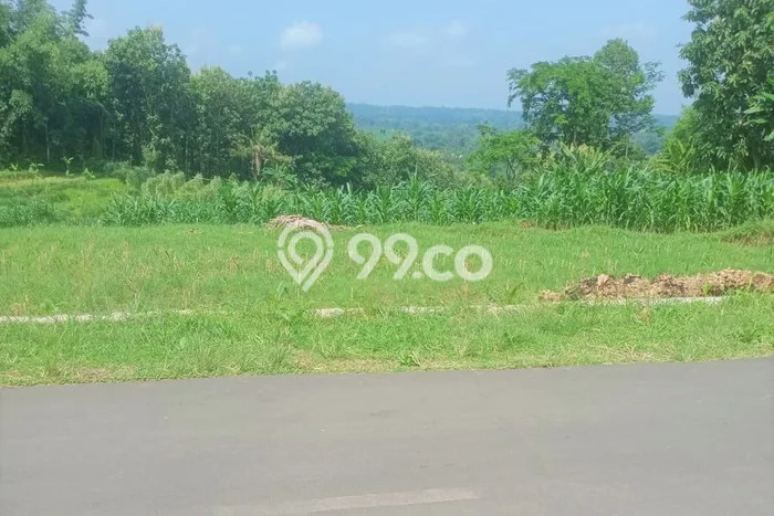 Untuk Dijual Tanah di Kerjo Karanganyar Luas 1370m2 SHM Untuk Dijual Tanah di Kerjo Karanganyar Luas 1370m2 SHM
