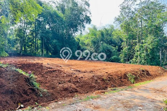 Tanah Kavling untuk Dijual di Mojogedang Karanganyar 1218m2 Tanah Kavling untuk Dijual di Mojogedang Karanganyar 1218m2