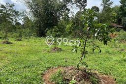 Tanah Kawasan Kerjo, Luas 1070m2m², Akses Kerjo, Karanganyar, Karanganyar Tanah Kawasan Kerjo, Luas 1070m2m², Akses Kerjo, Karanganyar, Karanganyar
