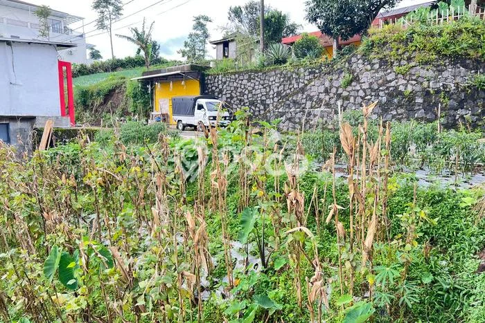 Tanah Kavling untuk Dijual di Ngargoyoso Karanganyar 300m2 Tanah Kavling untuk Dijual di Ngargoyoso Karanganyar 300m2
