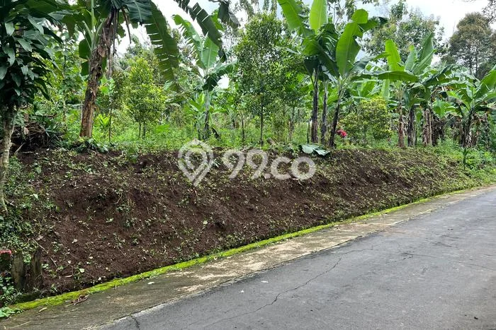 Lahan Strategis di Kerjo Dijual dengan Luas 700m2 Lahan Strategis di Kerjo Dijual dengan Luas 700m2