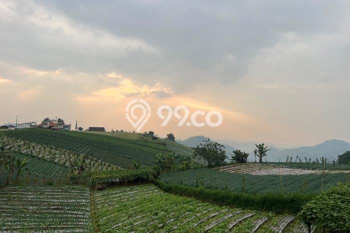 Tanah di Ngargoyoso, Luas 480m², Area Potensial, Lingkungan Nyaman, Kontur Datar Tanah di Ngargoyoso, Luas 480m², Area Potensial, Lingkungan Nyaman, Kontur Datar