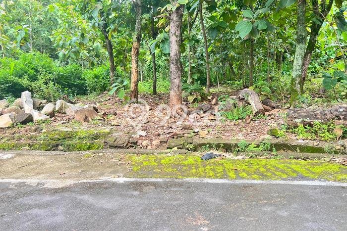 Dijual Tanah di Kerjo Karanganyar Luas 315m2 SHM Dijual Tanah di Kerjo Karanganyar Luas 315m2 SHM