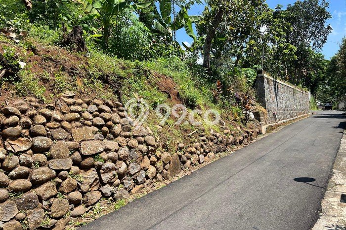 Tanah untuk Dijual Lokasi Kerjo, Karanganyar Luas 1200m2 SHM Tanah untuk Dijual Lokasi Kerjo, Karanganyar Luas 1200m2 SHM