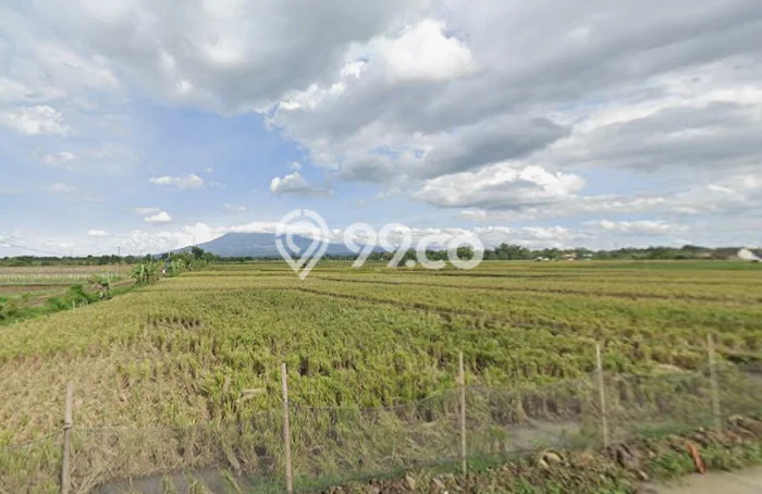 Tanah Lokasi Potensial di Kedawung, Luas 190m2m², Dekat ke Pusat Kota Tanah Lokasi Potensial di Kedawung, Luas 190m2m², Dekat ke Pusat Kota