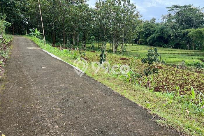 Tanah di Kerjo, Karanganyar Luas 1100m2 Dijual Segera Tanah di Kerjo, Karanganyar Luas 1100m2 Dijual Segera