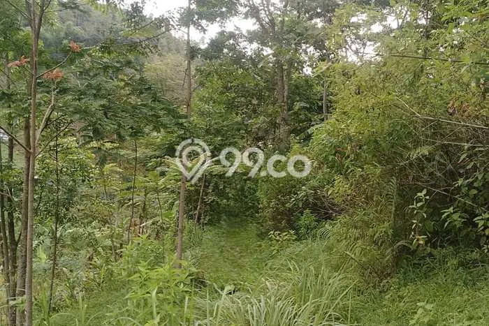 Tanah di Karanganyar, Karanganyar Luas 1040m2 Dijual Segera Tanah di Karanganyar, Karanganyar Luas 1040m2 Dijual Segera