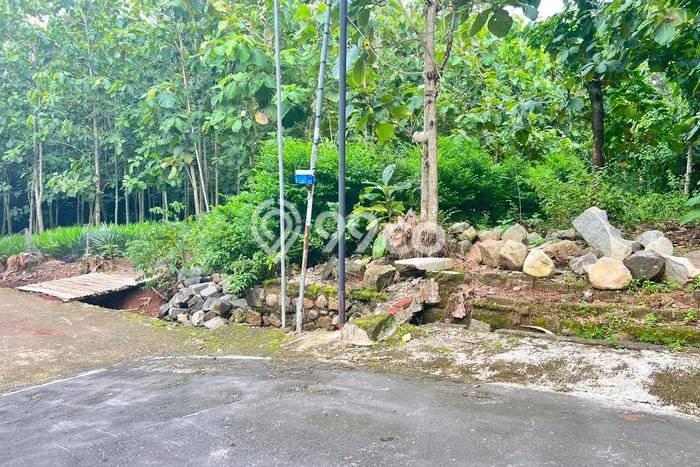 Dijual Tanah di Kerjo Karanganyar Luas 315m2 SHM Dijual Tanah di Kerjo Karanganyar Luas 315m2 SHM