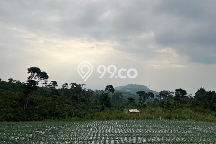 Tanah di Ngargoyoso, Luas 800m², Lokasi Strategis, Lingkungan Nyaman Tanah di Ngargoyoso, Luas 800m², Lokasi Strategis, Lingkungan Nyaman