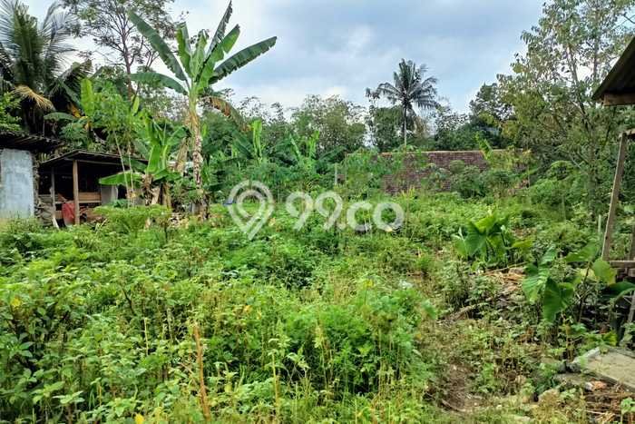 Lahan Kosong Dijual di Karangpandan, Karanganyar, Luas 735m2 Area Strategis Lahan Kosong Dijual di Karangpandan, Karanganyar, Luas 735m2 Area Strategis
