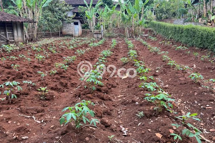 Tanah Kawasan Mojogedang, Luas 150m2m², Akses Mudah, Area Prospektif Tanah Kawasan Mojogedang, Luas 150m2m², Akses Mudah, Area Prospektif