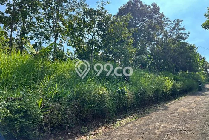 Tanah Dijual Lokasi Mojogedang, Karanganyar dengan Luas Tanah 1000m2 dan Status SHM Tanah Dijual Lokasi Mojogedang, Karanganyar dengan Luas Tanah 1000m2 dan Status SHM