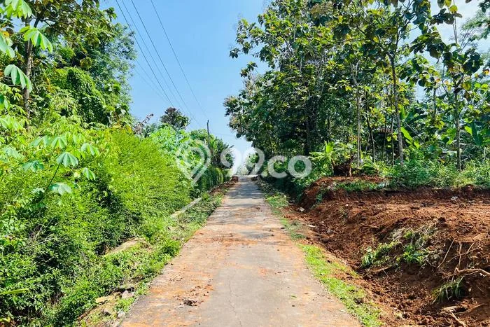 Tanah Kavling untuk Dijual di Mojogedang Karanganyar 1218m2 Tanah Kavling untuk Dijual di Mojogedang Karanganyar 1218m2