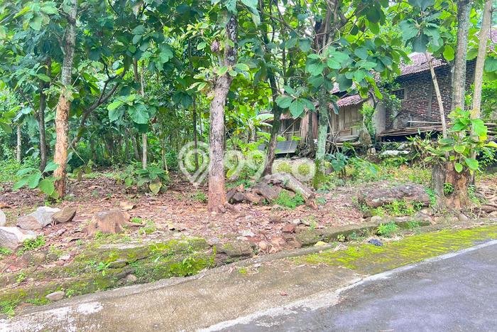 Dijual Tanah di Kerjo Karanganyar Luas 315m2 SHM Dijual Tanah di Kerjo Karanganyar Luas 315m2 SHM