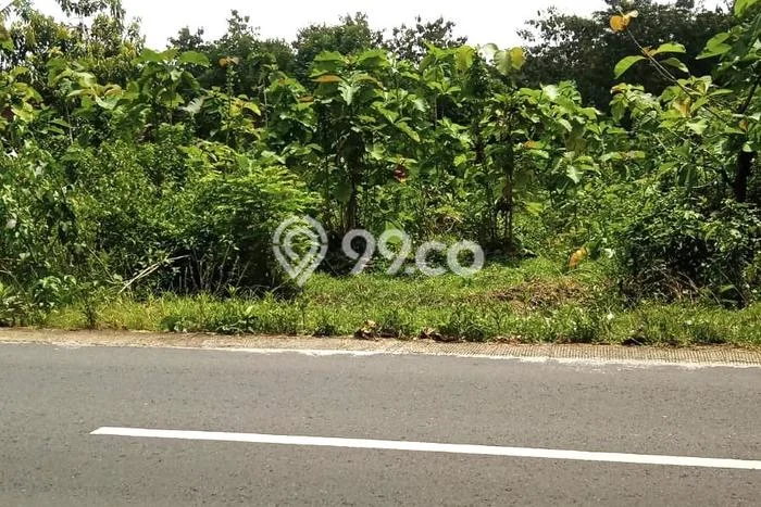 Kavling Tanah Dijual di Tasikmadu Karanganyar Spesifikasi 1057m2 Kavling Tanah Dijual di Tasikmadu Karanganyar Spesifikasi 1057m2