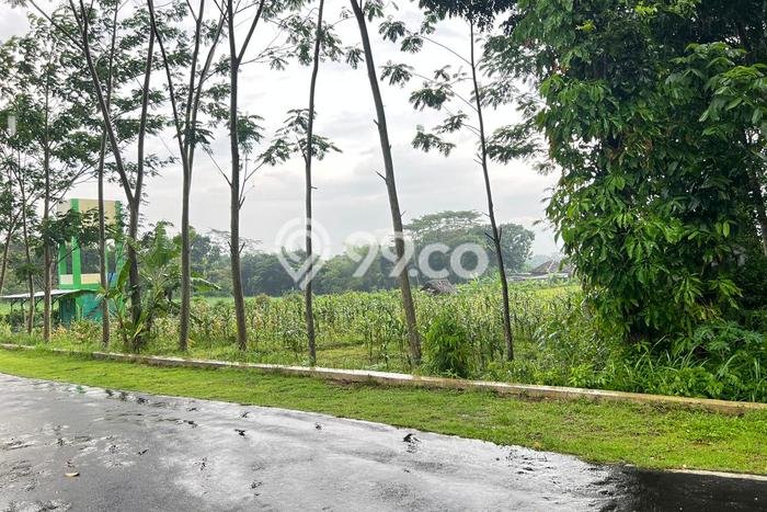 Tanah Komersial Dijual di Mojogedang Karanganyar 1172m2 Tanah Komersial Dijual di Mojogedang Karanganyar 1172m2