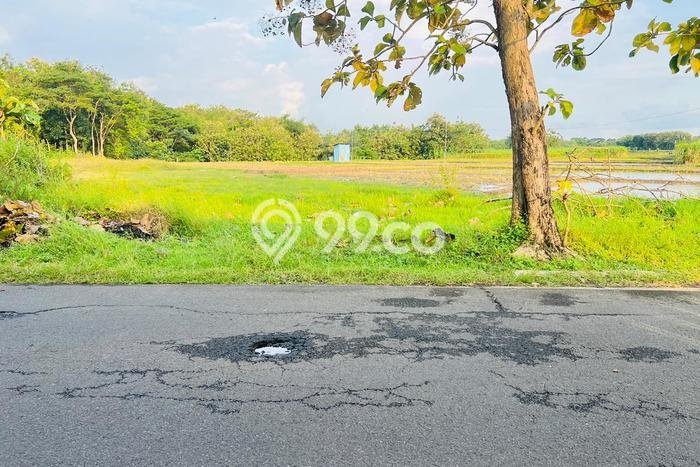 Kavling Tanah di Tasikmadu Dijual Luas 1595m2 Legalitas SHM Kavling Tanah di Tasikmadu Dijual Luas 1595m2 Legalitas SHM