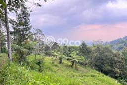 Jual Tanah Lokasi Strategis Kawasan Ngargoyoso, Luas 595m2m², Akses Ngargoyoso, Karanganyar, Karanganyar Jual Tanah Lokasi Strategis Kawasan Ngargoyoso, Luas 595m2m², Akses Ngargoyoso, Karanganyar, Karanganyar