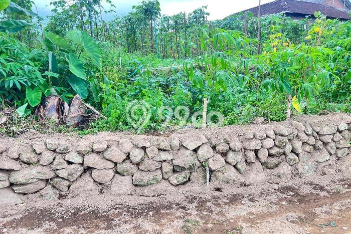 Lahan Dijual Lokasi Ngargoyoso, Karanganyar dengan Luas Tanah 680m2 dan Status SHM Lahan Dijual Lokasi Ngargoyoso, Karanganyar dengan Luas Tanah 680m2 dan Status SHM