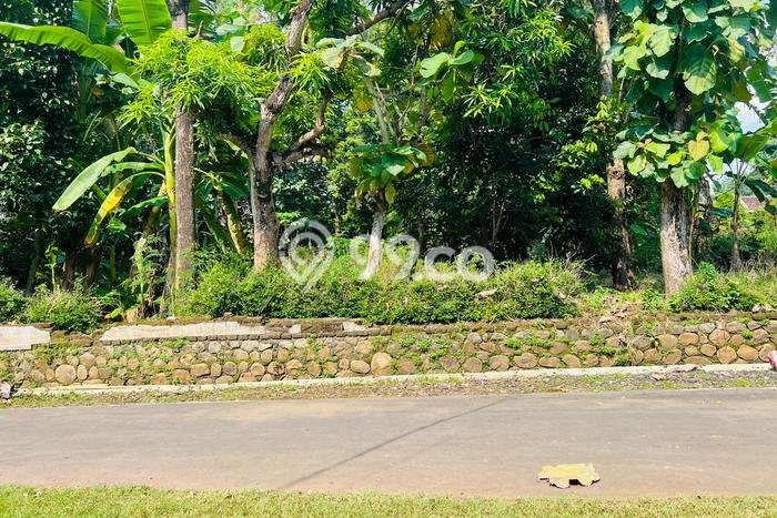 Kavling Tanah di Mojogedang Dijual Luas 1700m2 Legalitas SHM Kavling Tanah di Mojogedang Dijual Luas 1700m2 Legalitas SHM