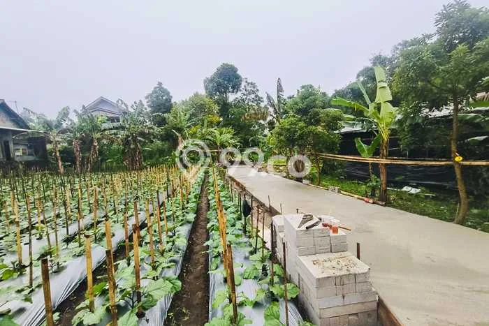 Tanah untuk Dijual di Tawangmangu Karanganyar Luas 556m2 Tanah untuk Dijual di Tawangmangu Karanganyar Luas 556m2