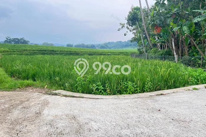 Kavling Tanah Dijual di Mojogedang Karanganyar Spesifikasi 424m2 Kavling Tanah Dijual di Mojogedang Karanganyar Spesifikasi 424m2