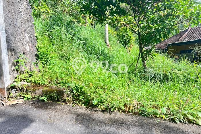 TANAH PROSPEKTIF! Tanah di Ngargoyoso, Luas 600m2m², Pinggir Jalan Raya TANAH PROSPEKTIF! Tanah di Ngargoyoso, Luas 600m2m², Pinggir Jalan Raya