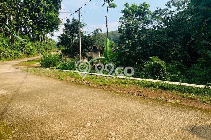 Tanah di Ngargoyoso, Karanganyar Luas 1472m2 Dijual Segera Tanah di Ngargoyoso, Karanganyar Luas 1472m2 Dijual Segera