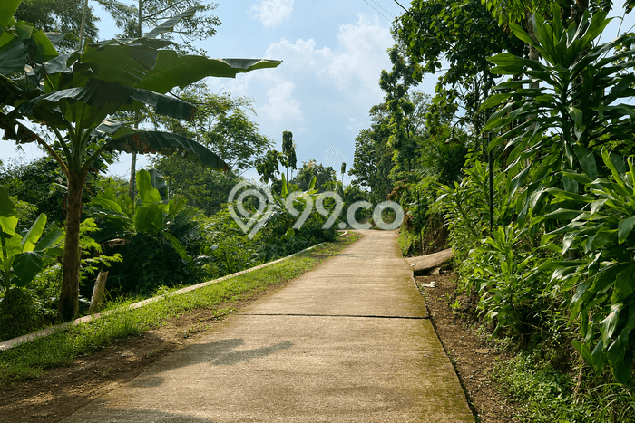 Tanah di Ngargoyoso, Karanganyar Luas 1472m2 Dijual Segera Tanah di Ngargoyoso, Karanganyar Luas 1472m2 Dijual Segera
