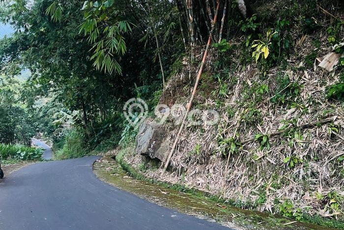 Tanah Dijual Lokasi Ngargoyoso, Karanganyar Luas 2487m2 Legalitas Aman Tanah Dijual Lokasi Ngargoyoso, Karanganyar Luas 2487m2 Legalitas Aman